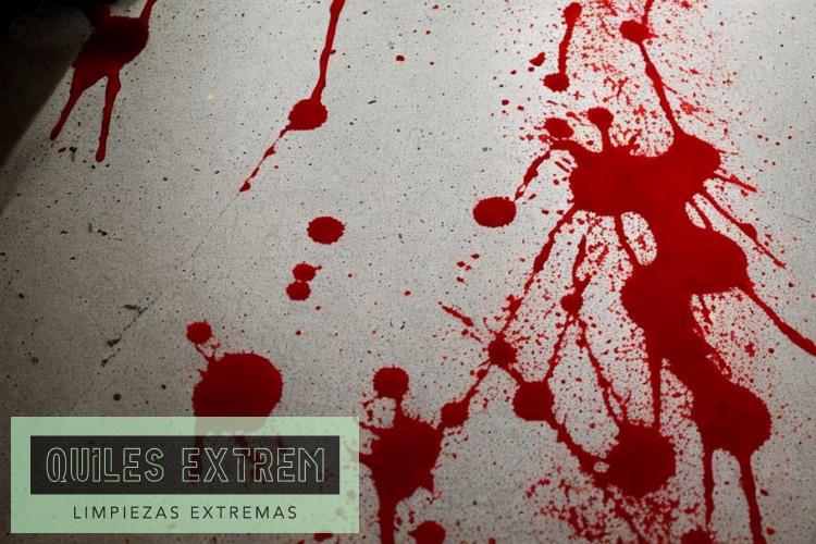 Limpieza y desinfección en momentos de pérdida